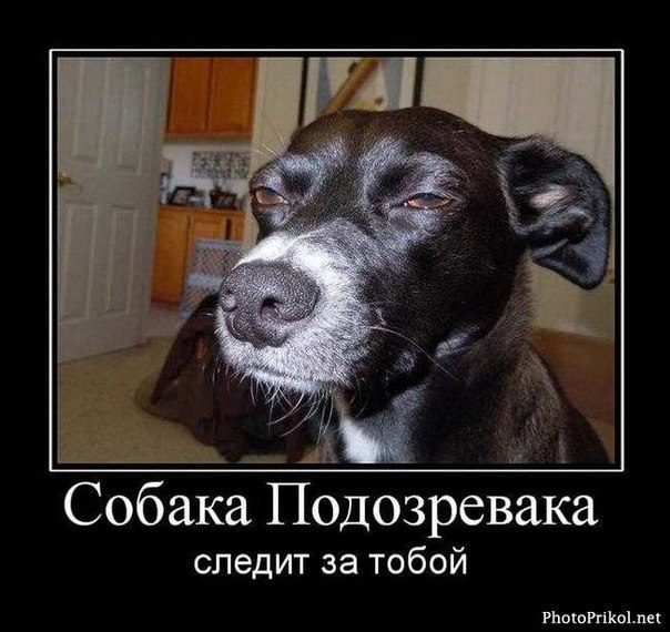 Екатерина Майн Meer-Himmel | Atlanta