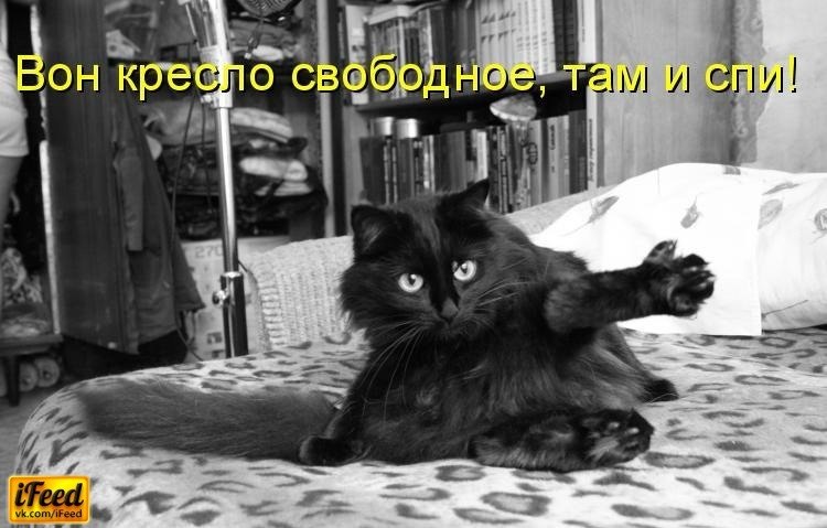 Александр Муравляник | Киев