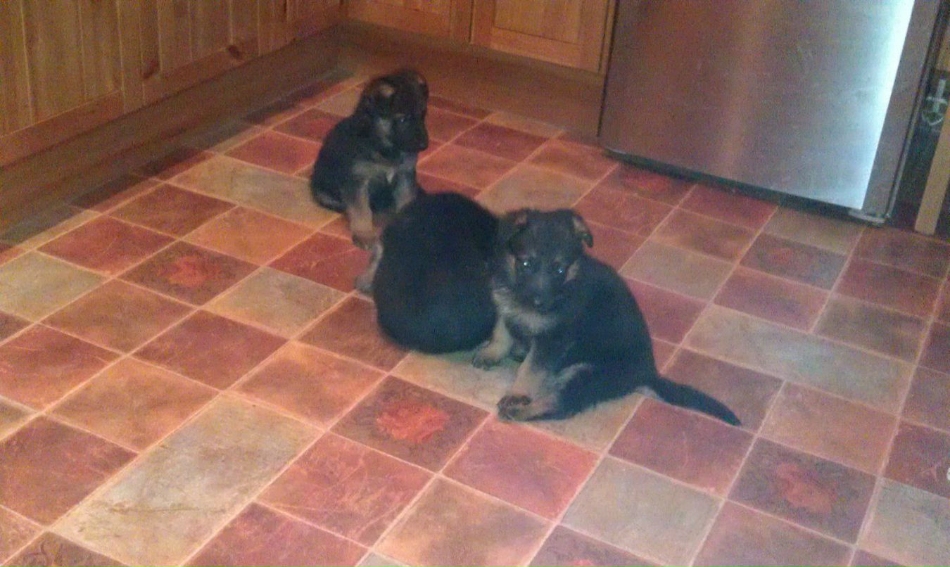 Дмитрий Скорятин Доброжизнь | Москва