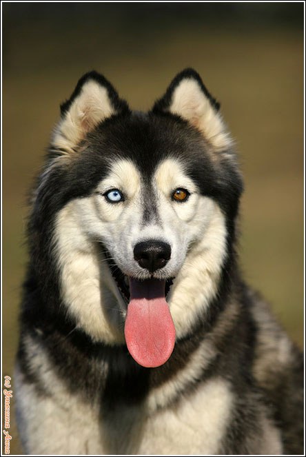 Данил Марков F.t.D. | Екатеринбург