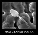 Андрей Макиенко, 40 лет, Москва, Россия, 01.11.1984