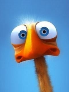 №8, Богдан Селих, Луцк №8, Богдан Селих, Луцк