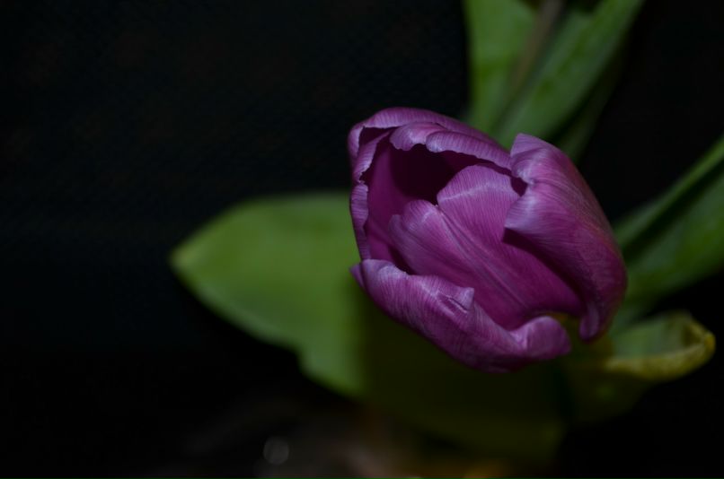 Оксана Меженькова | Чебоксары