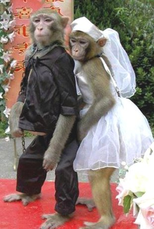 Ольга Кріцька | Берегово