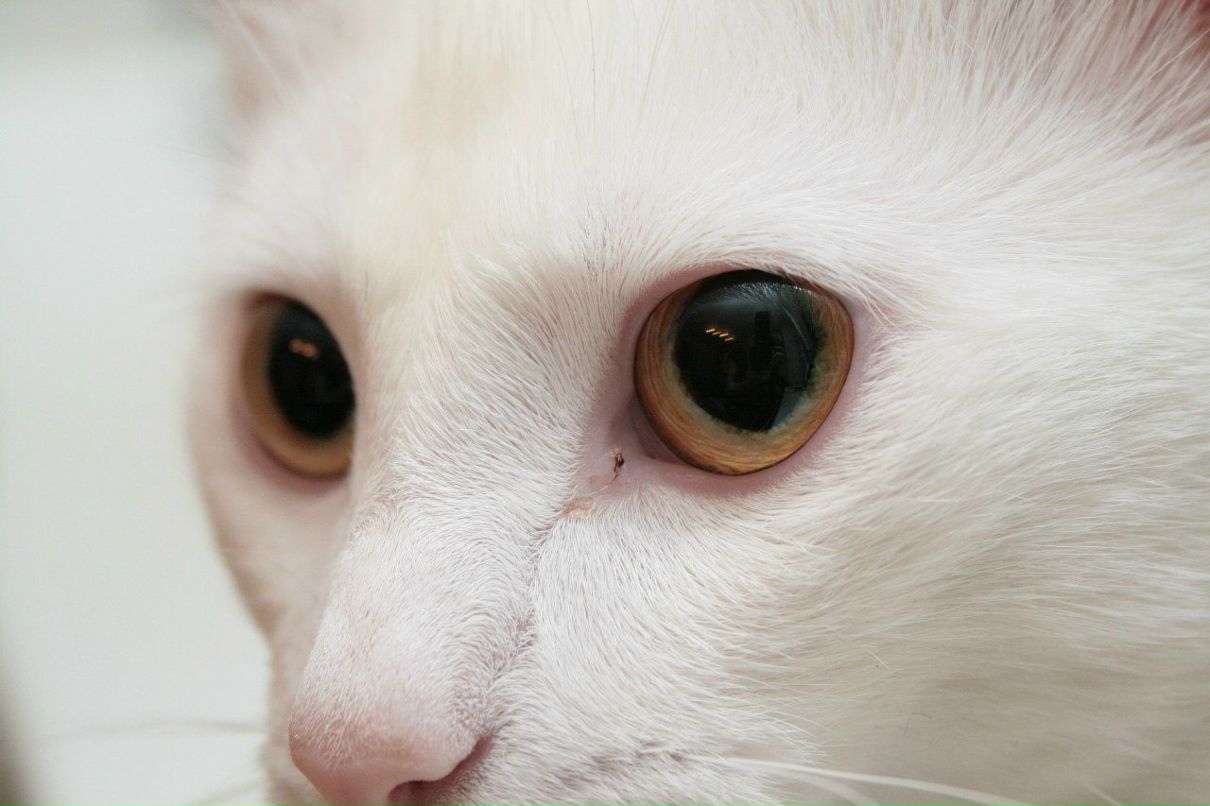 Игорь Чукеев | Москва