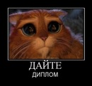 №16 Руслан Аскеров