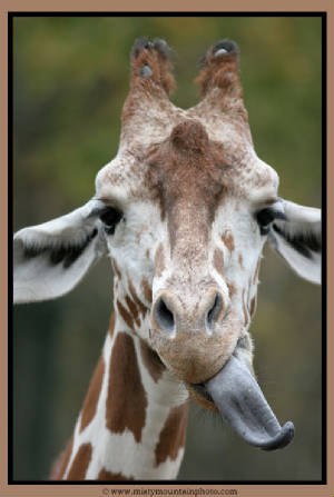 Александра Соковых | Томск