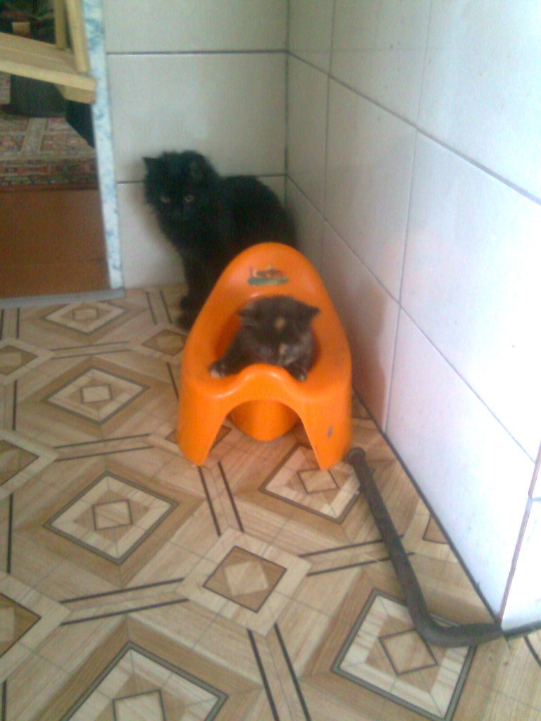 Ксения Ильина | Боровой