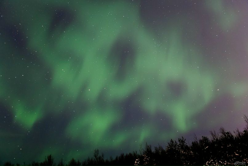 Татьяна Тарасова | Мурманск