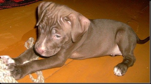 Миша Остроушко | Киев