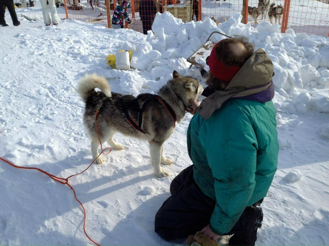 Артем Шляхтин xodzor | Москва