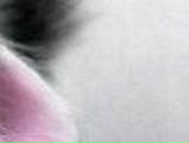 Алсу Мурыгина | Казань