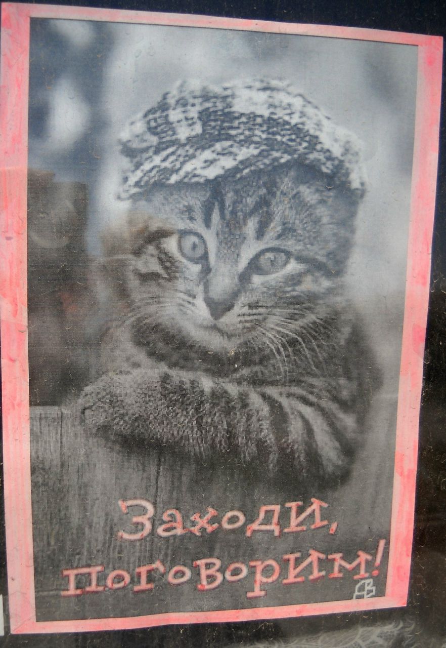 Георгий Вальцман Jeckson | Ашдод