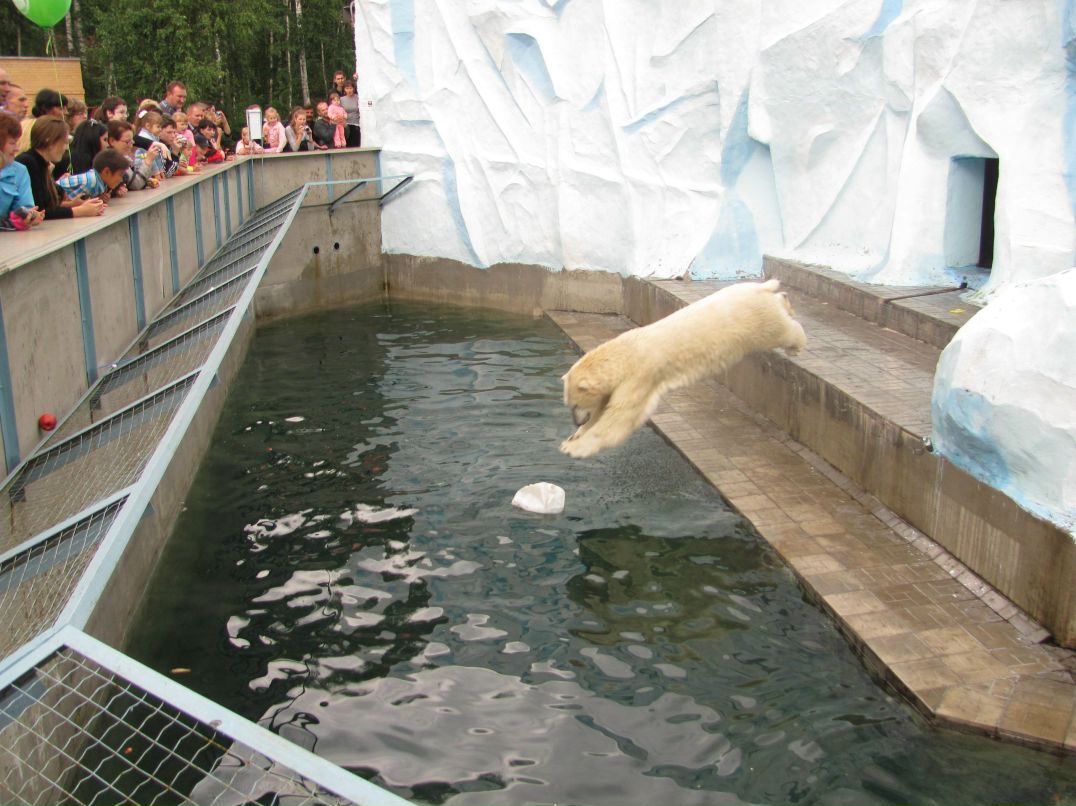 Михаил Голубев ***>На$iльNIK ПоЕzD@<*** | Москва