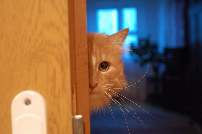 Галина Зверева | Киев