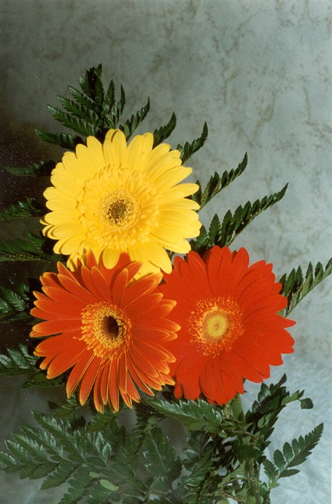 Рита Княжина | Москва