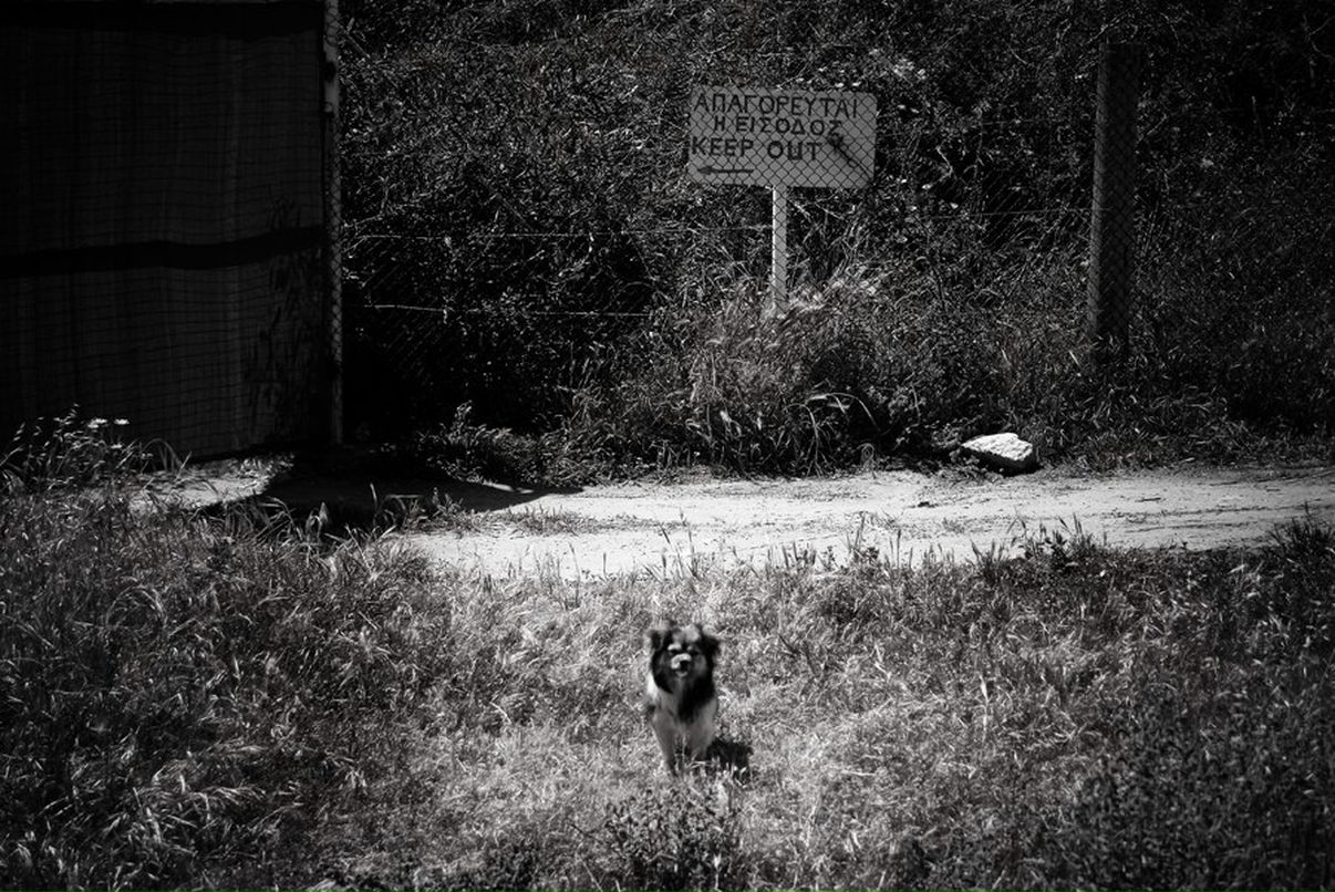 Mikhail Chipurnoi | Москва