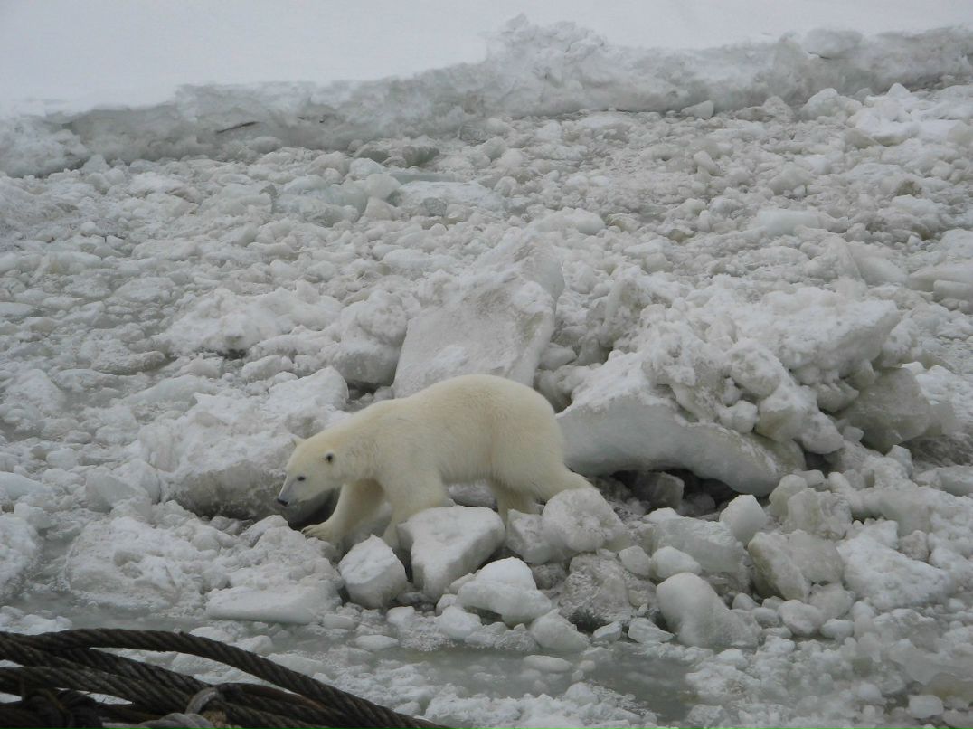 Ильдар Шайхутдинов | Урай