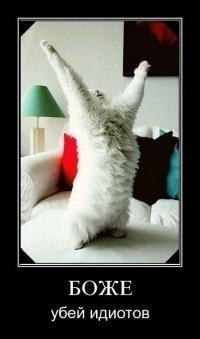 №39, Вадим Притула, 40 лет, Днепр (Днепропетровск) №39, Вадим Притула, 40 лет, Днепр (Днепропетровск)