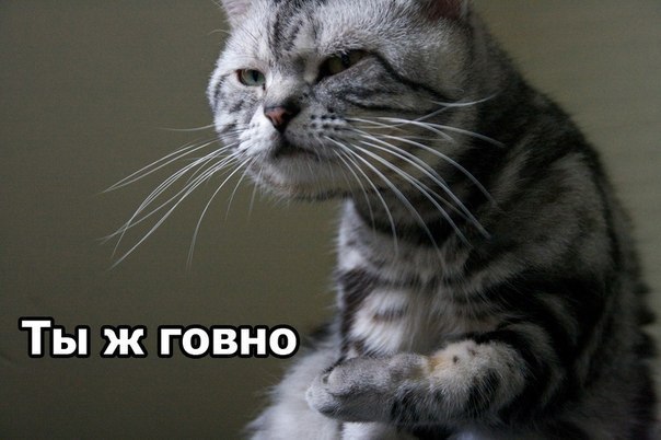 Мітя Energizer | 