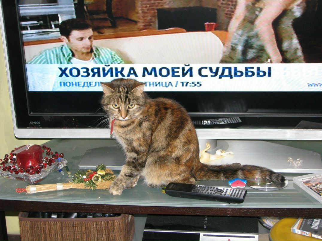 Юля Иванова | Санкт-Петербург