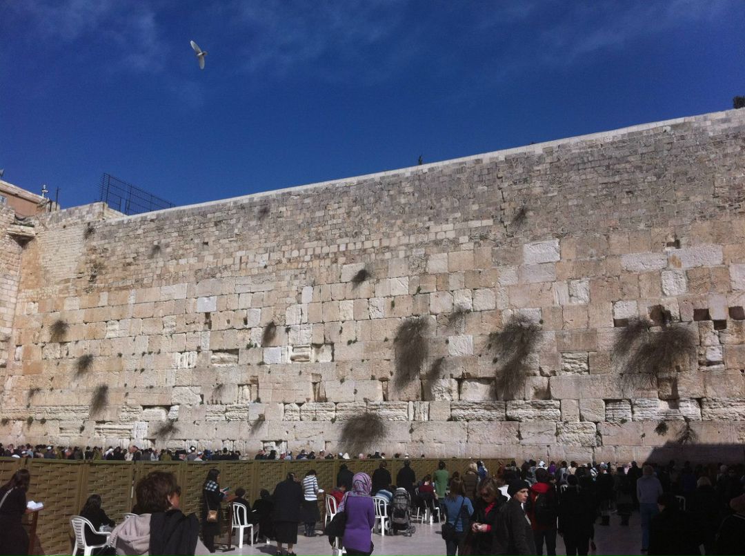 Анна Фактор | Ришон ЛеЦион