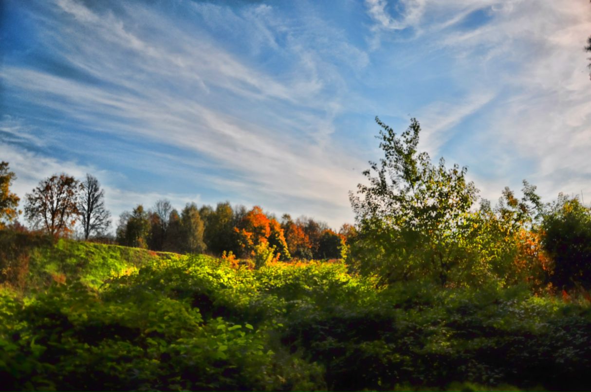 Константин Лиманцев | Москва