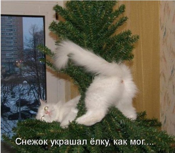Ульяна Колядина | Воронеж