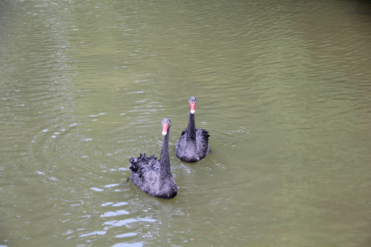 Нуржан Косаев | Астана / Нур-Султан