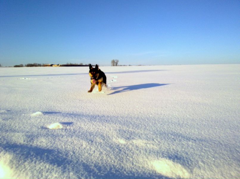 Дмитро Сорокан | 