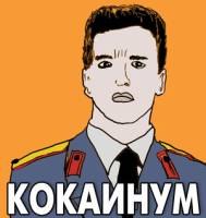 Михаил Гнедько Александрович | Красноярск