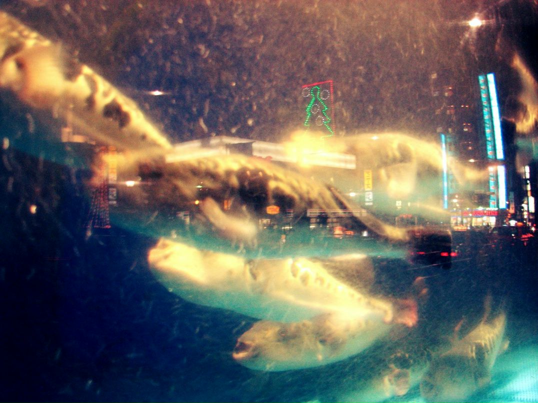 Лера Чубара | 