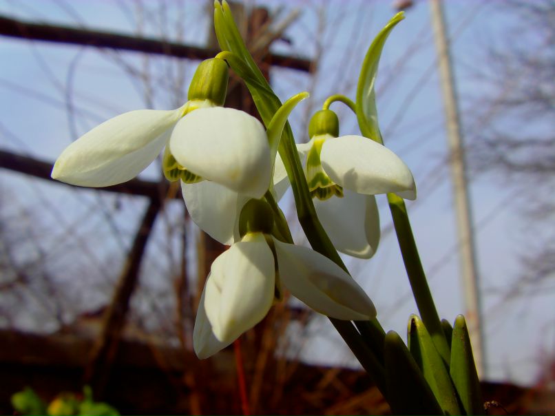 Карина Лагода | Львов