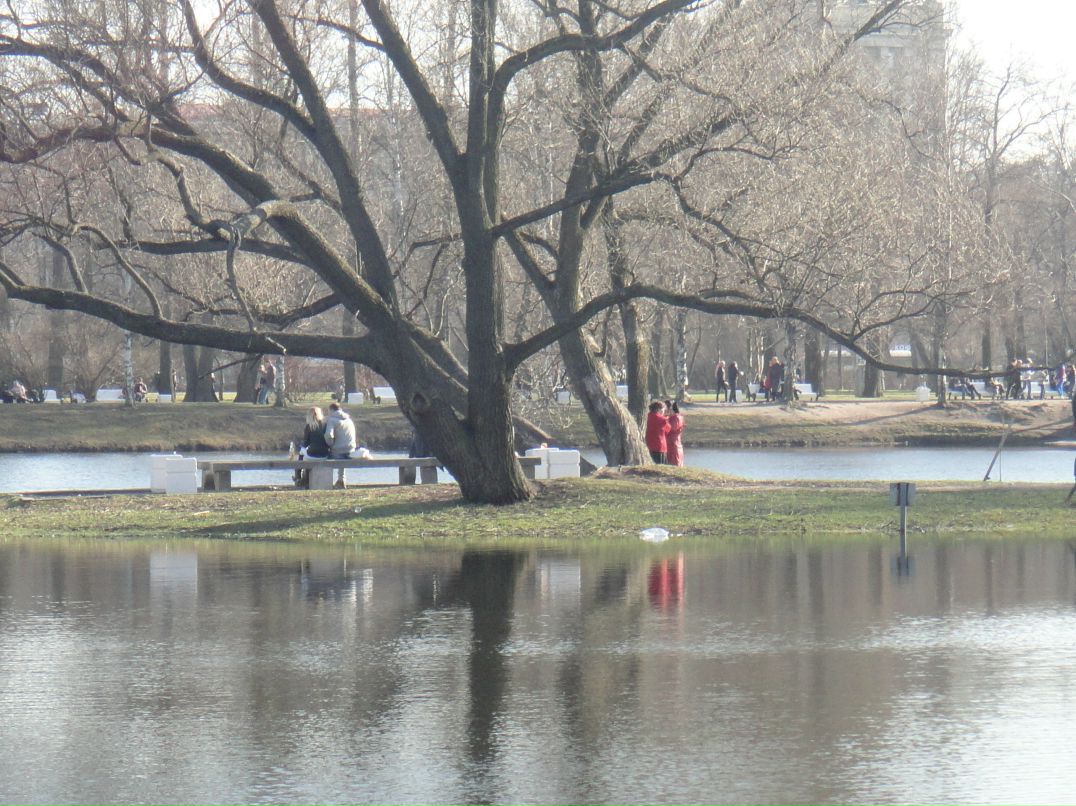 Николай Богданов | Санкт-Петербург