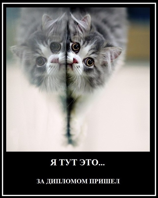 Павел Никитин | 