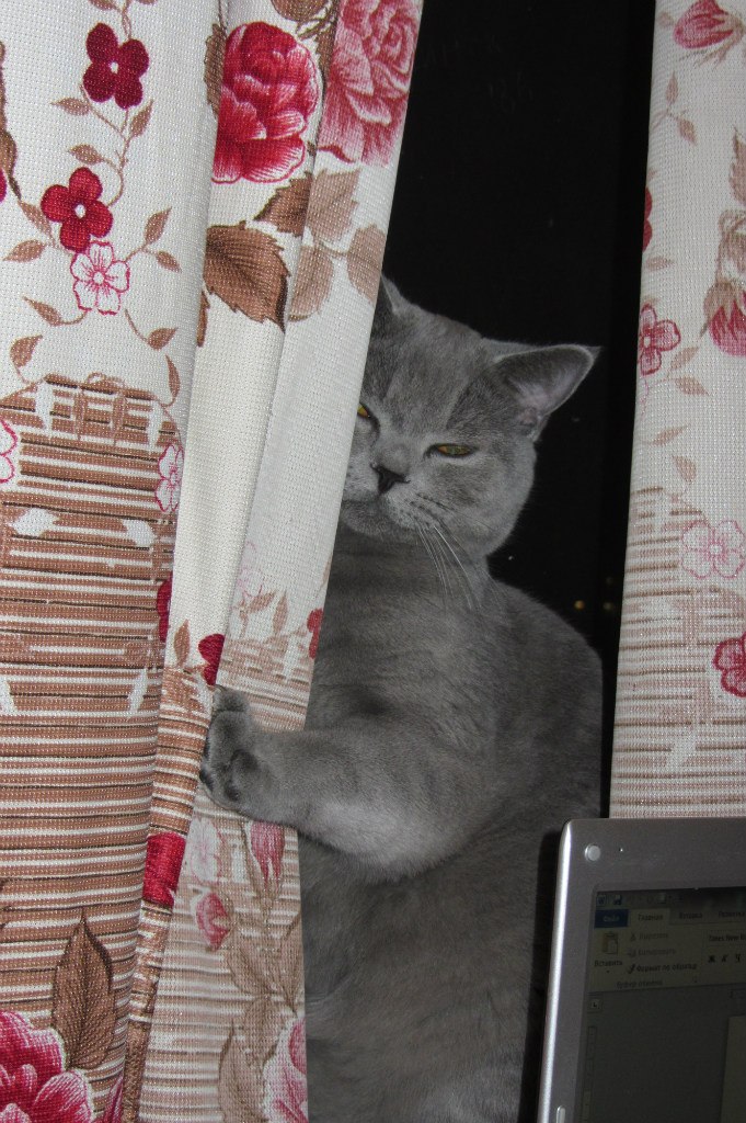 Татьяна Авдеева | Москва