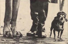 Миша Петрик | 