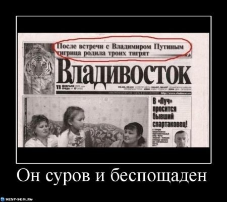 Антон Лятс | Санкт-Петербург