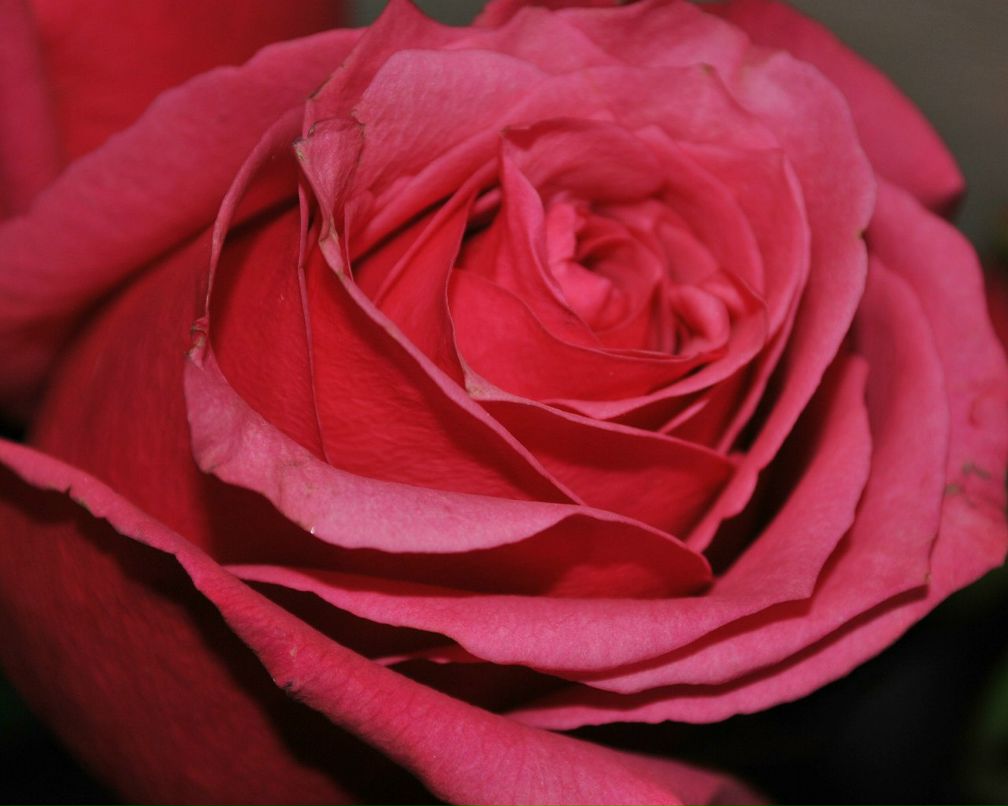 Андрій Мартинів | Долина