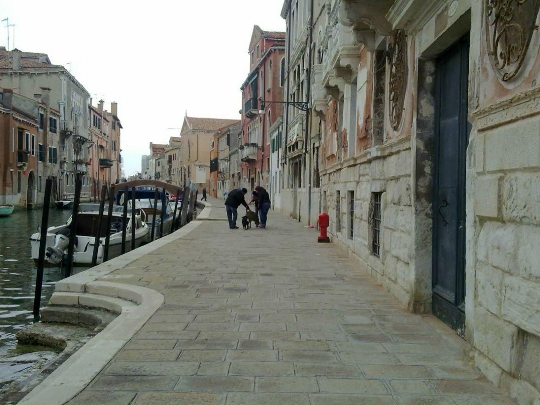 Эльвира Прокопюк | Киев