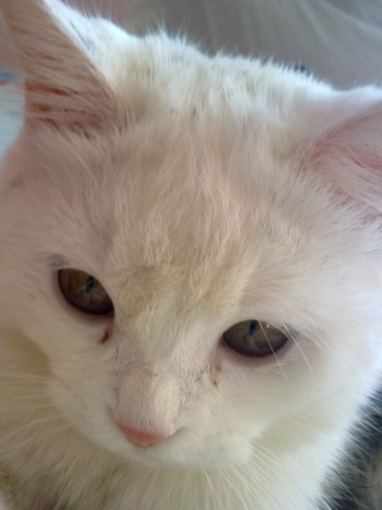 Murat Esen | İstanbul