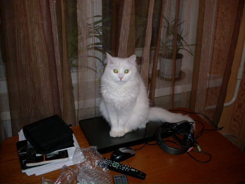 Евгений Павлов | Щелково