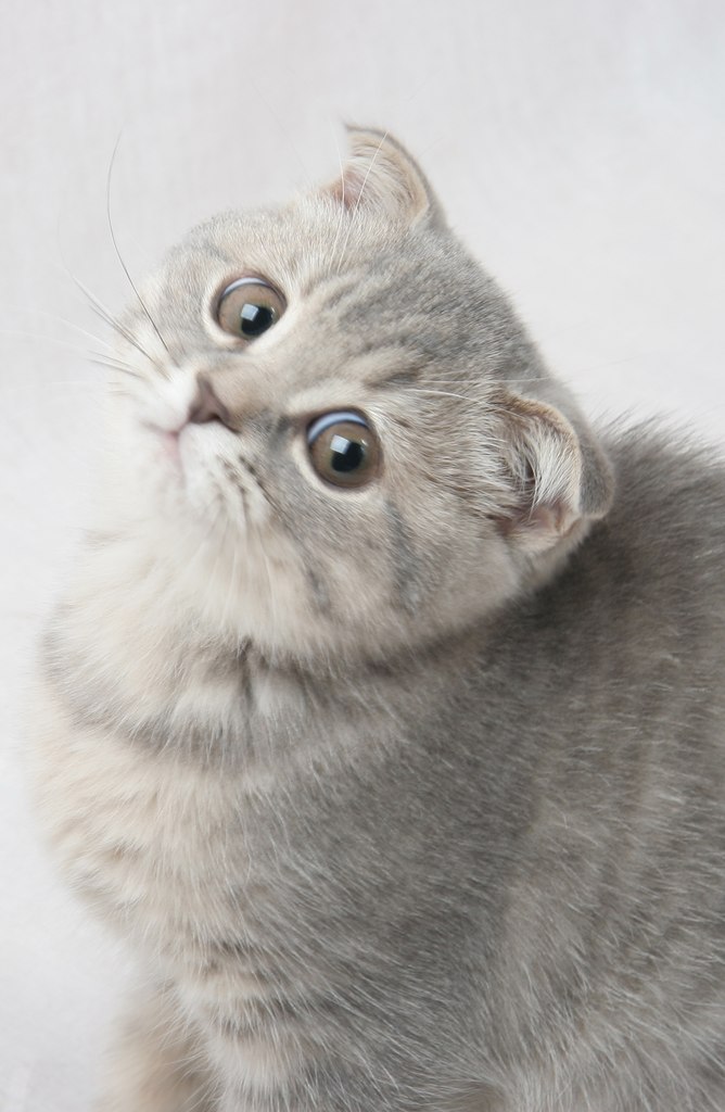 Ирина Шкаредная | Казань