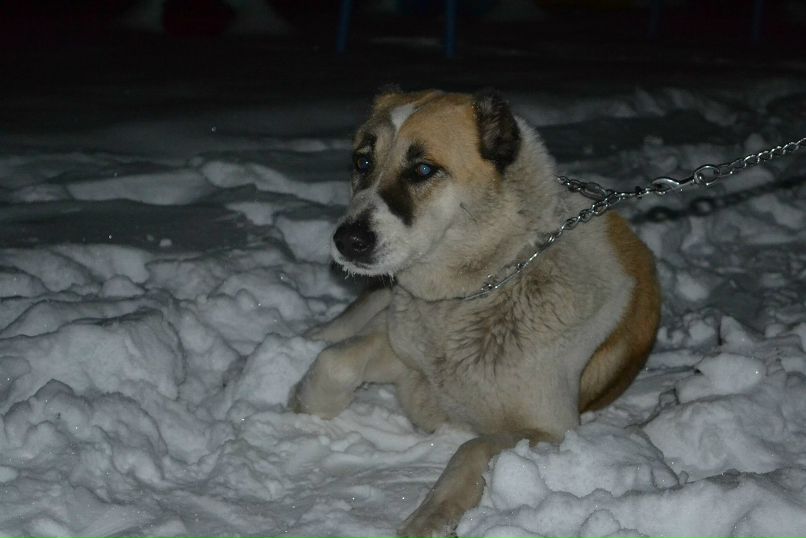 Сергій Клименко | Киев