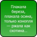 №17 Мария Кочешева 24.05.1999: профиль, фото, статус - ВКонтакте