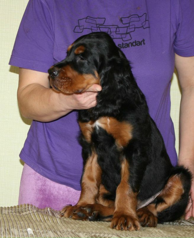 Екатерина Шалыгина | Санкт-Петербург