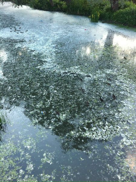 №4, Максим Бабичев, Limassol, Кипр №4, Максим Бабичев, Limassol, Кипр