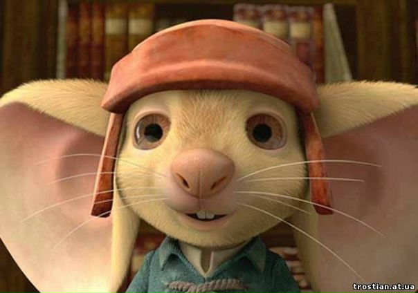 №28, Ксения Черкас, Ровно №28, Ксения Черкас, Ровно