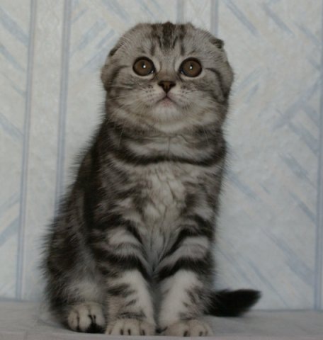 №6, Юрий Орлов, 40 лет, Москва №6, Юрий Орлов, 40 лет, Москва