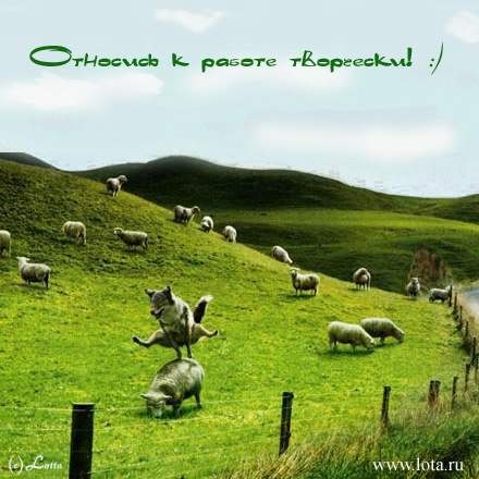 №2, Ольга Пилипченко №2, Ольга Пилипченко